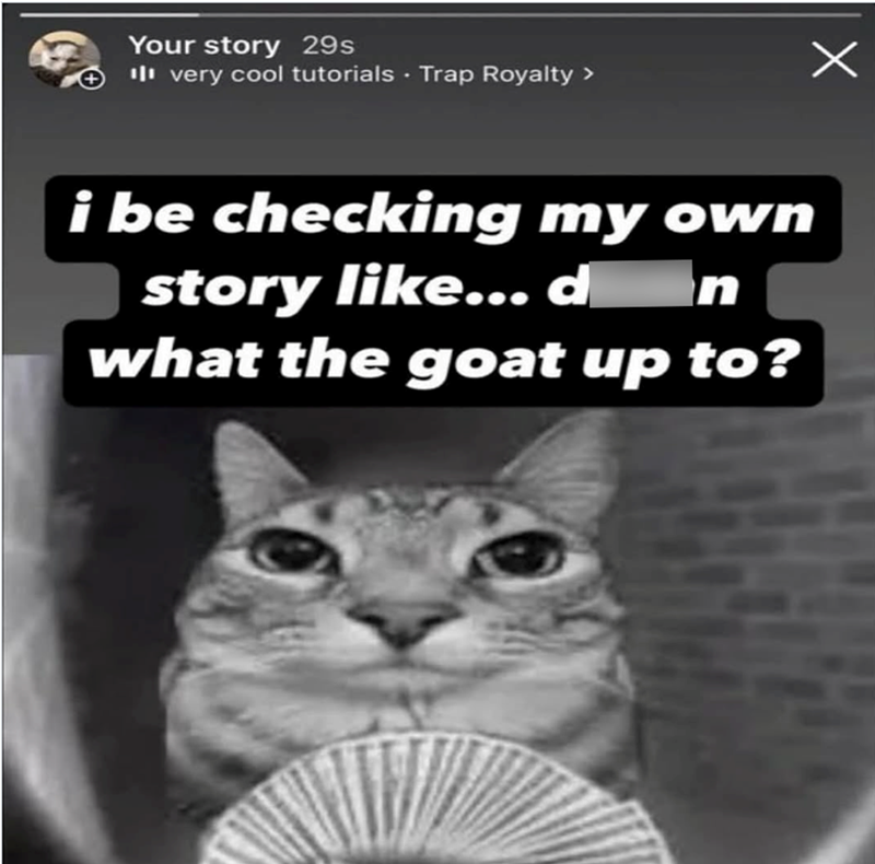 Your story 29s ili very cool tutorials Trap Royalty > i be checking my own story like... d__n what the goat up to? Х