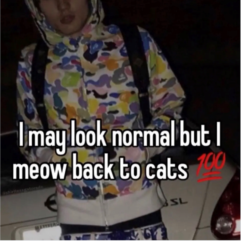 50 I may look normal but I meow back to cats shirtlessgat SL 67