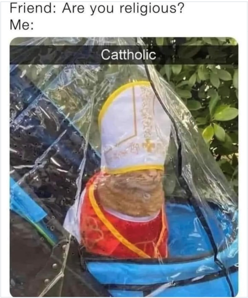 Friend: Are you religious? Me: Cattholic