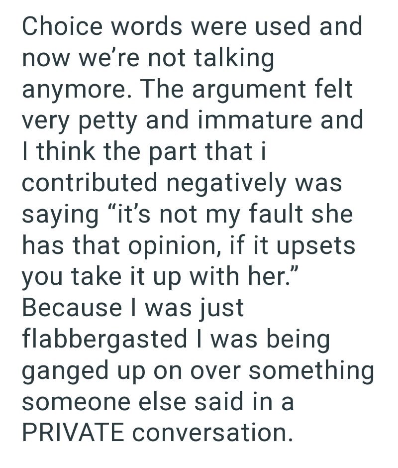 Choice words were used and now we're not talking anymore. The argument felt very petty and immature and I think the part that i contributed negatively was saying "it's not my fault she has that opinion, if it upsets you take it up with her." Because I was just flabbergasted I was being ganged up on over something someone else said in a PRIVATE conversation.