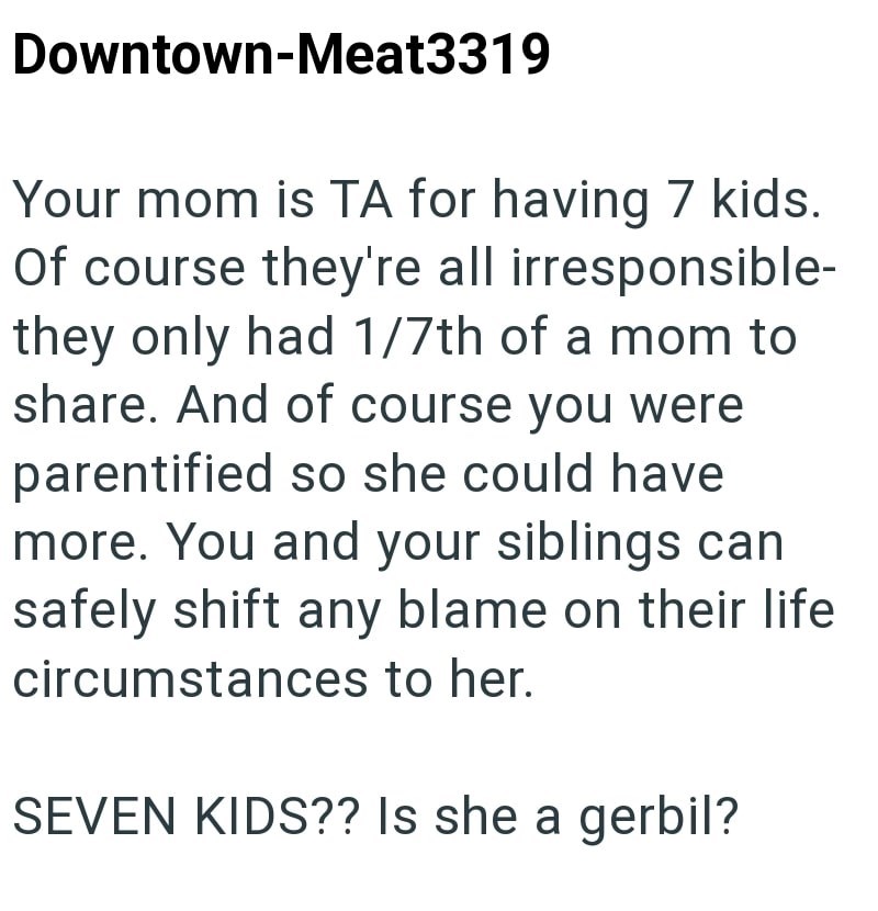 Downtown-Meat3319 Your mom is TA for having 7 kids. Of course they're all irresponsible- they only had 1/7th of a mom to share. And of course you were parentified so she could have more. You and your siblings can safely shift any blame on their life circumstances to her. SEVEN KIDS?? Is she a gerbil?