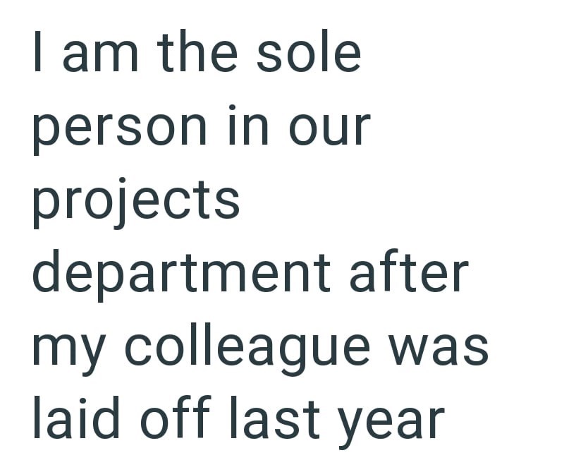 I am the sole person in our projects department after my colleague was laid off last year