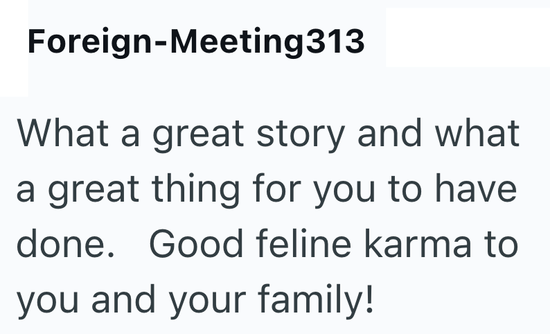 Foreign-Meeting313 What a great story and what a great thing for you to have done. Good feline karma to you and your family!
