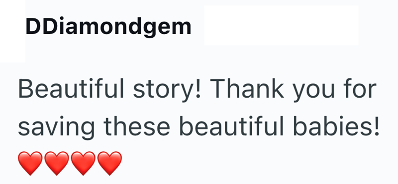 DDiamondgem Beautiful story! Thank you for saving these beautiful babies!