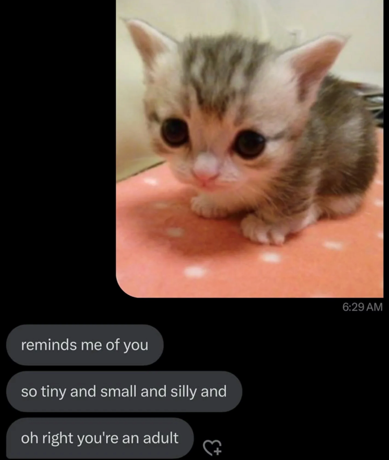 reminds me of you so tiny and small and silly and oh right you're an adult 6:29 AM