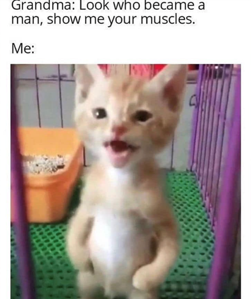 Grandma: Look who became a man, show me your muscles. Me: