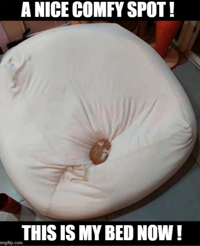 A NICE COMFY SPOT! imgflip.com THIS IS MY BED NOW!