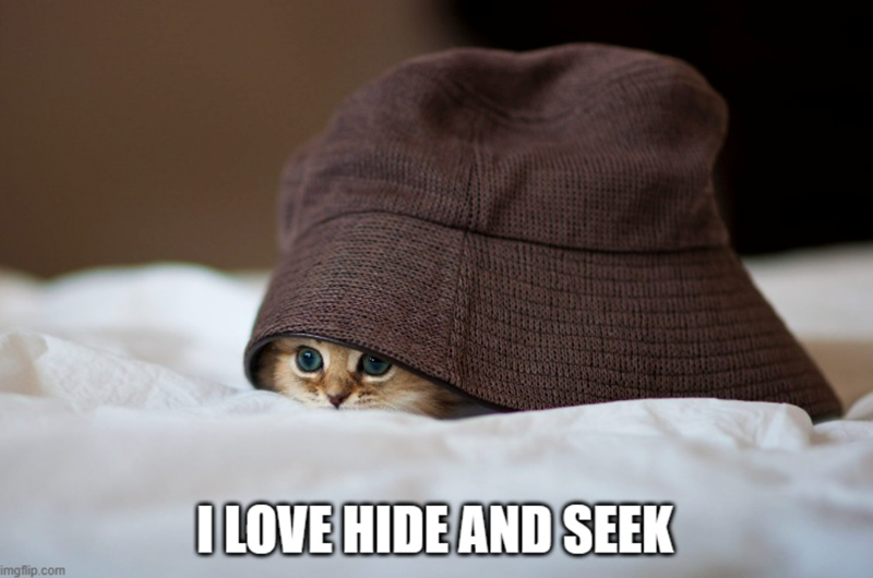 imgflip.com I LOVE HIDE AND SEEK