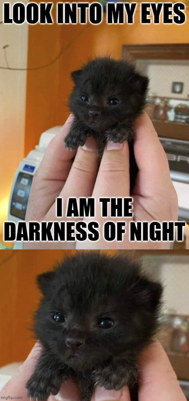 LOOK INTO MY EYES I AM THE DARKNESS OF NIGHT imgflip.com