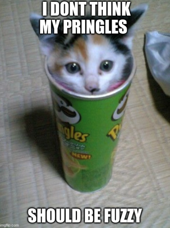imgflip.com I DONT THINK MY PRINGLES gles NEW! P SHOULD BE FUZZY