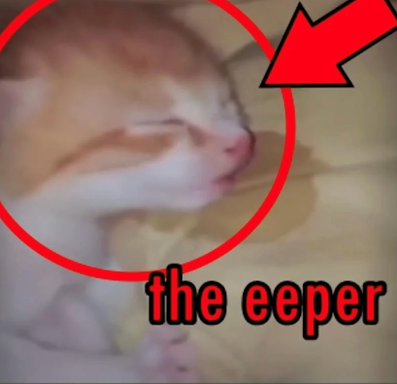 the eeper