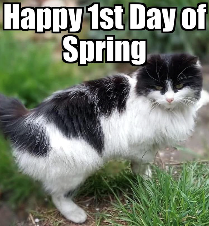 Happy 1st Day of Spring