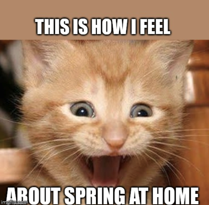 THIS IS HOW I FEEL ABOUT SPRING AT HOME imgflip.com