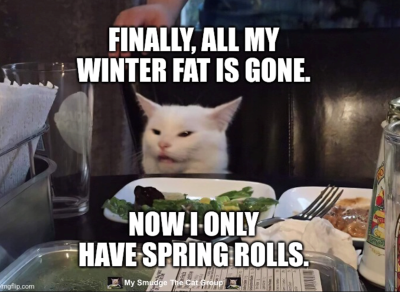 FINALLY. ALL MY WINTER FAT IS GONE. mgflip.com NOW I ONLY HAVE SPRING ROLLS. My Smudge The Cat Group