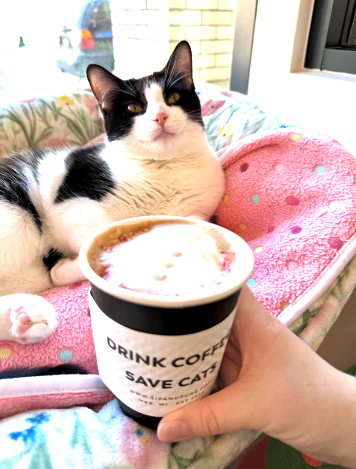 DRINK COFF SAVE MKE WI CATS EST 2016