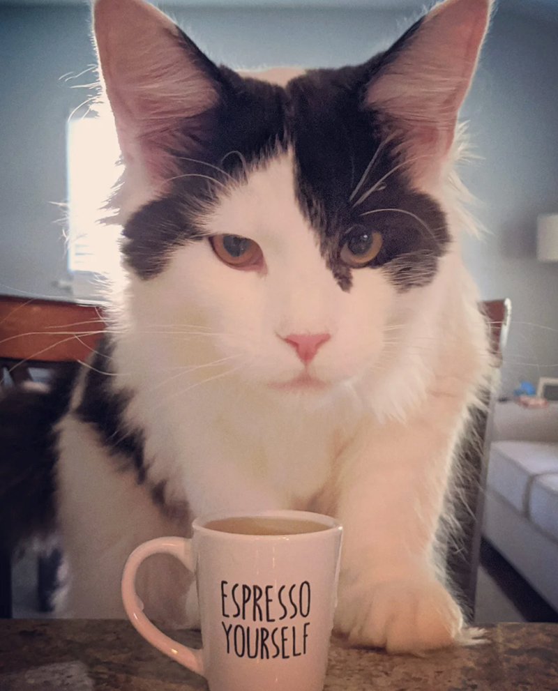 ESPRESSO YOURSELF