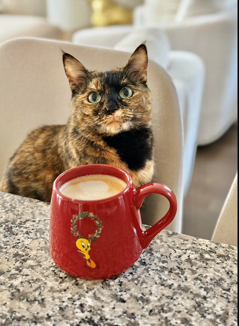 Cheezburger Image 10615166464