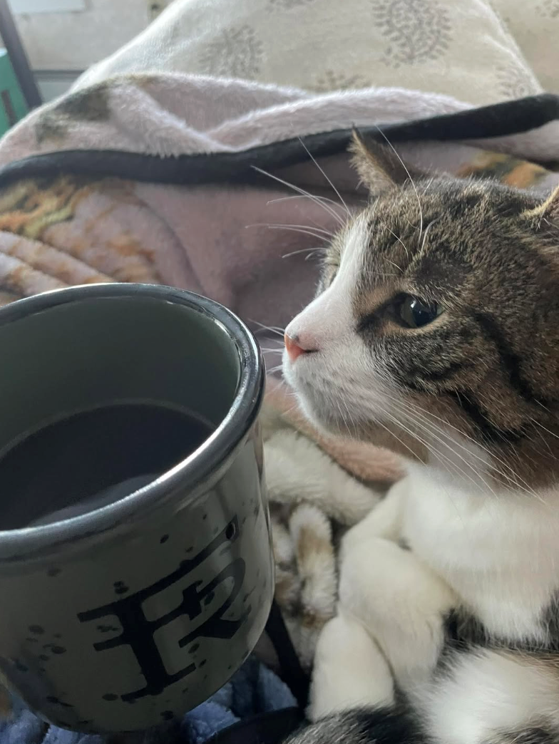 Cheezburger Image 10615168000