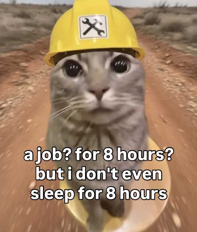 a job? for 8 hours? but i don't even sleep for 8 hours
