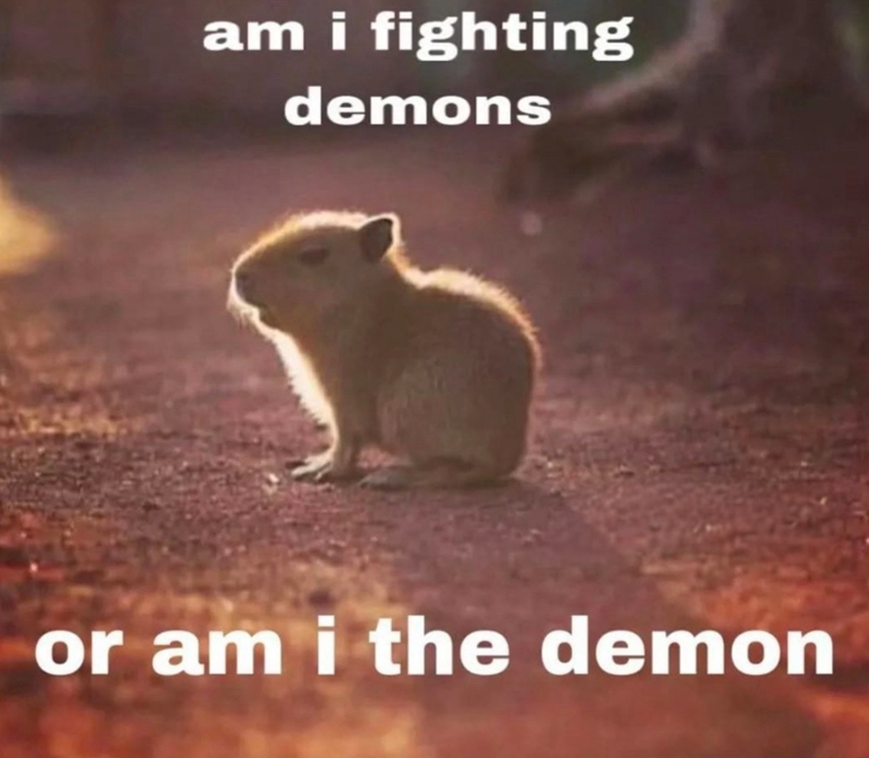 am i fighting demons or am i the demon