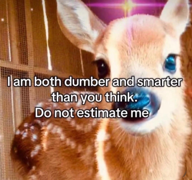 I am both dumber and smarter than you think. Do not estimate me