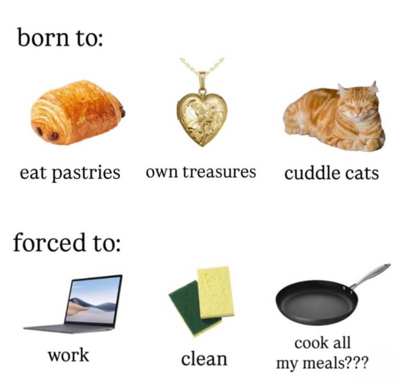 born to: eat pastries own treasures cuddle cats forced to: work clean cook all my meals???