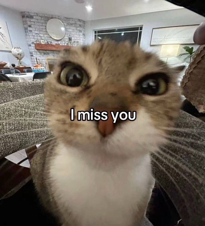 I miss you WHEN YOU WHAT YOU NE YOU HAVE VERYTHING YOU ALEE