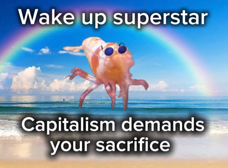 Wake up superstar Capitalism demands your sacrifice