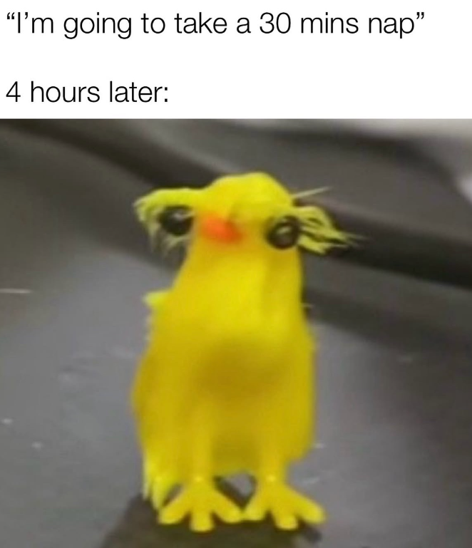 "I'm going to take a 30 mins nap" 4 hours later: