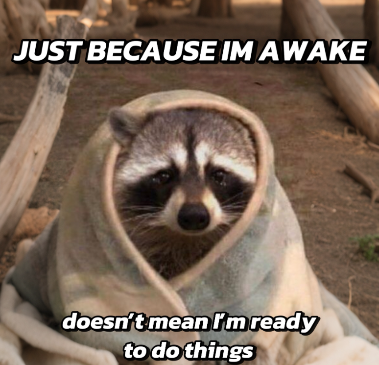 JUST BECAUSE IM AWAKE doesn't mean I'm ready to do things