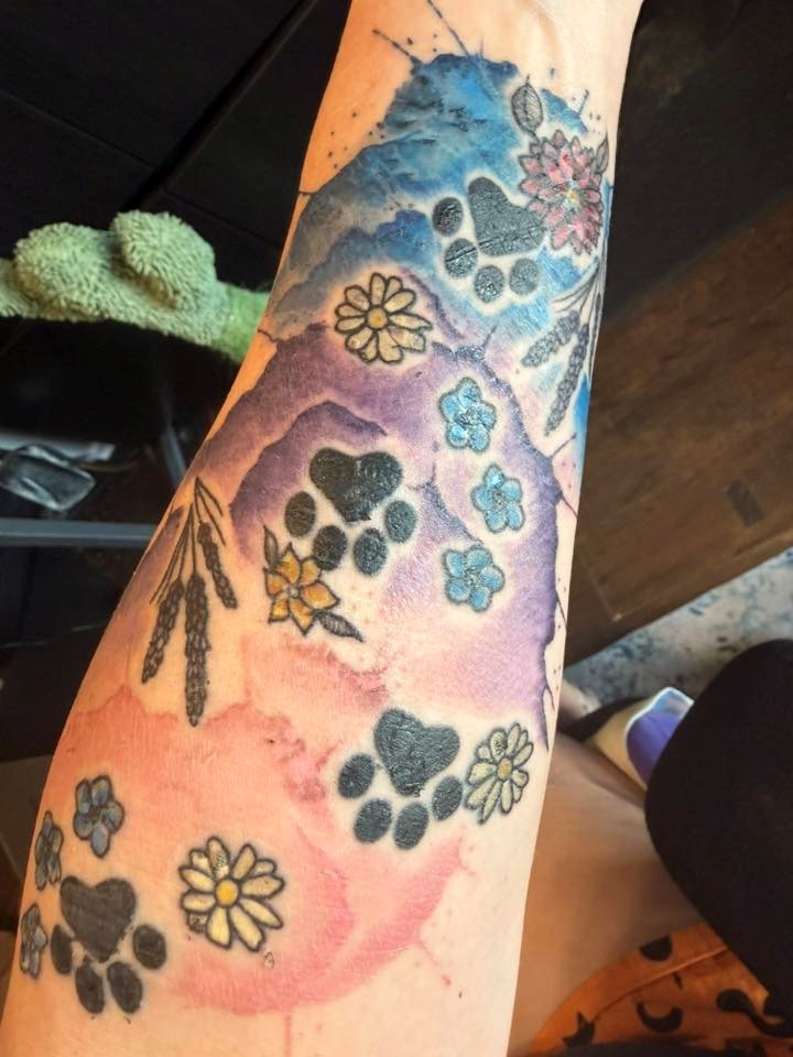 Cheezburger Image 10615177216