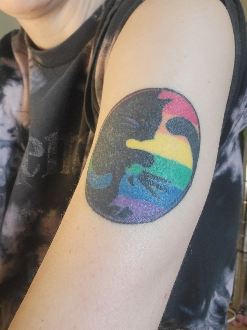 Cheezburger Image 10615178496