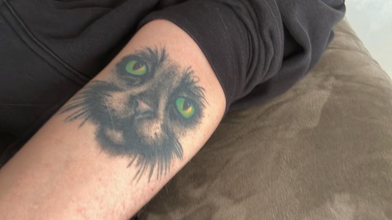 Cheezburger Image 10615179008