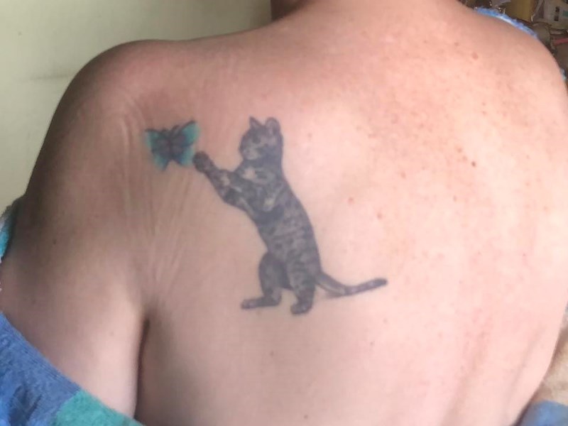 Cheezburger Image 10615182336