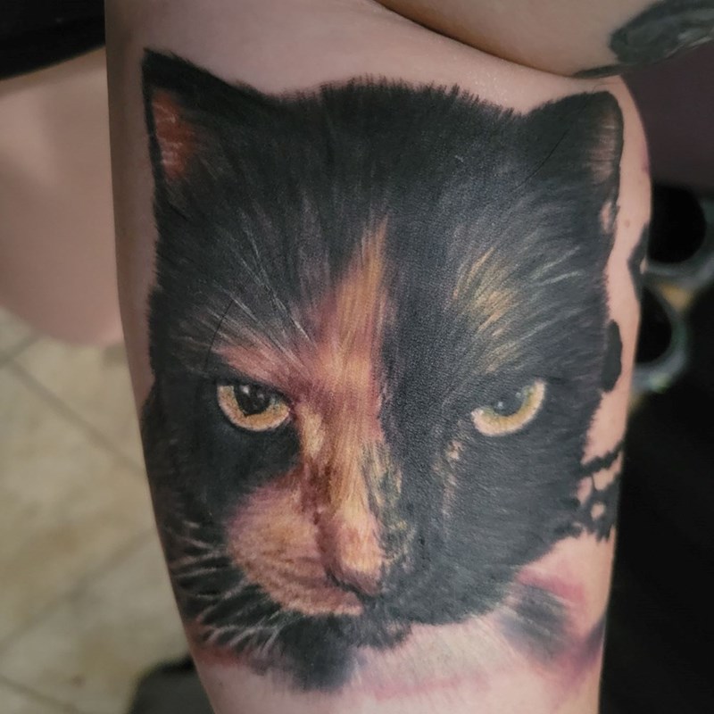 Cheezburger Image 10615183104