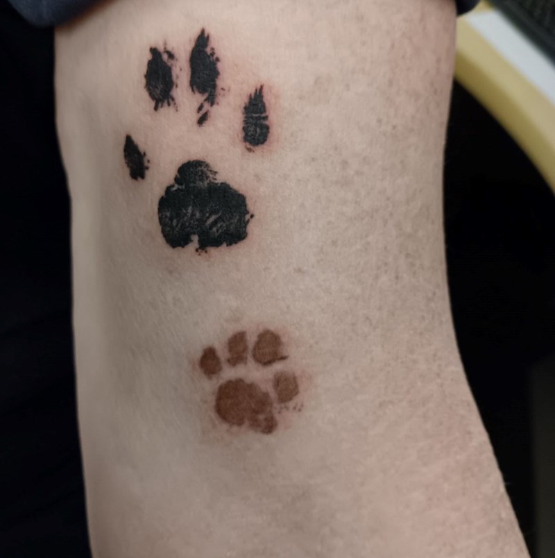 Cheezburger Image 10615185152