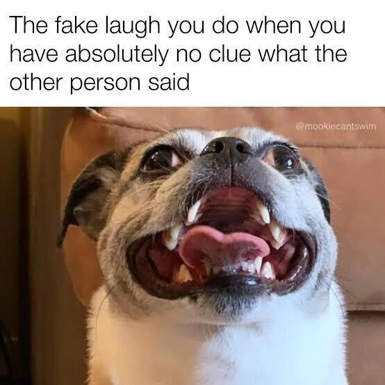 The fake laugh you do when you have absolutely no clue what the other person said @mookiecantswim