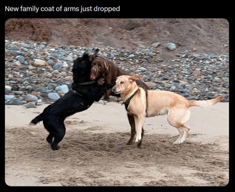 New family coat of arms just dropped