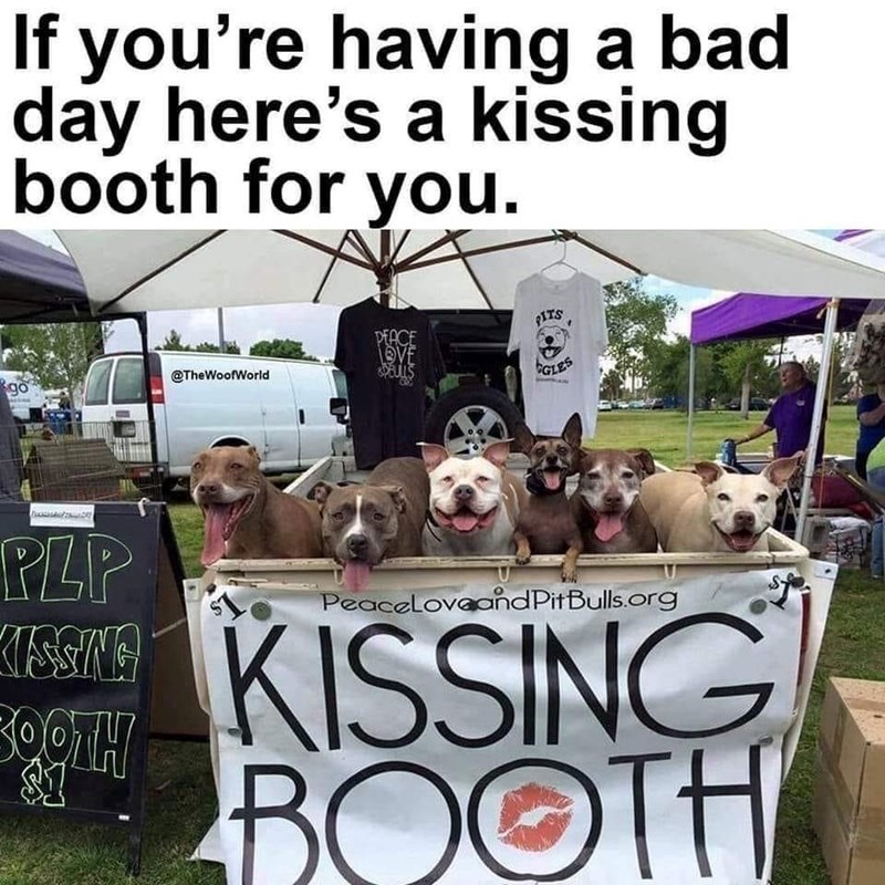 If you're having a bad day here's a kissing booth for you. go @TheWoofWorld PEACE LOVE BULLS PITS GLES PLP KISSING BOOTH PeaceLoveandPit Bulls.org KISSING BOOTH