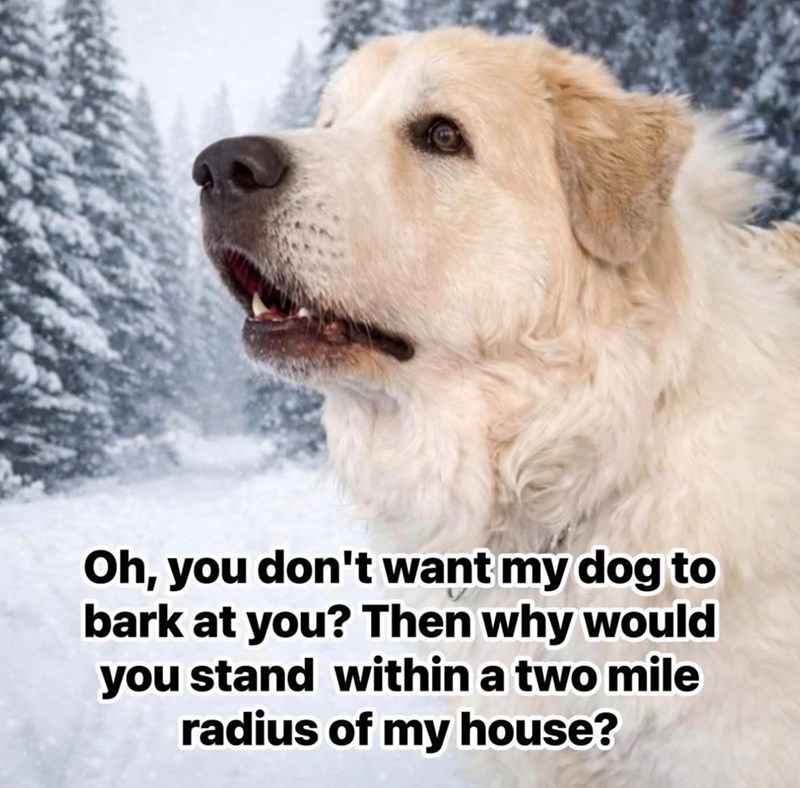 Oh, you don't want my dog to bark at you? Then why would you stand within a two mile radius of my house?