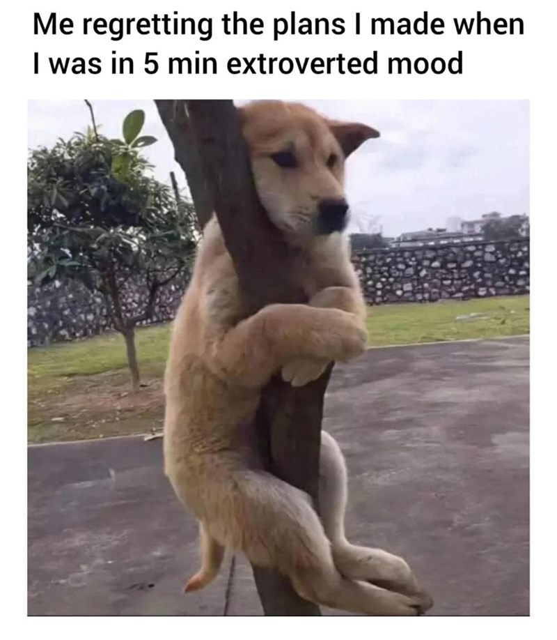Me regretting the plans I made when I was in 5 min extroverted mood