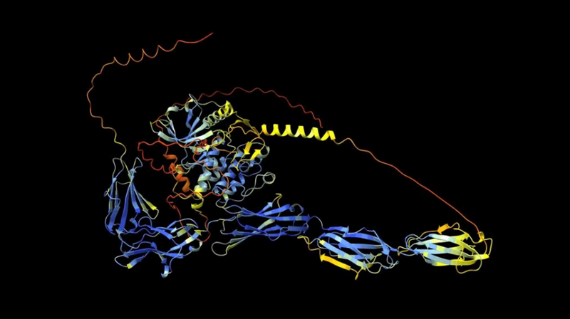 Paul Conyngham's 3D modelled images of his dog Rosie’s cancer