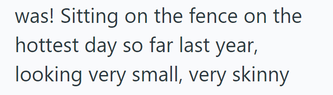 was! Sitting on the fence on the hottest day so far last year, looking very small, very skinny
