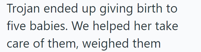 Trojan ended up giving birth to five babies. We helped her take care of them, weighed them.
