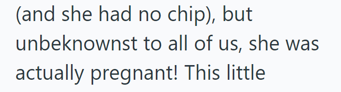 (and she had no chip), but unbeknownst to all of us, she was actually pregnant! This little.