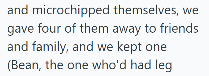 and microchipped themselves, we gave four of them away to friends and family, and we kept one (Bean, the one who'd had leg