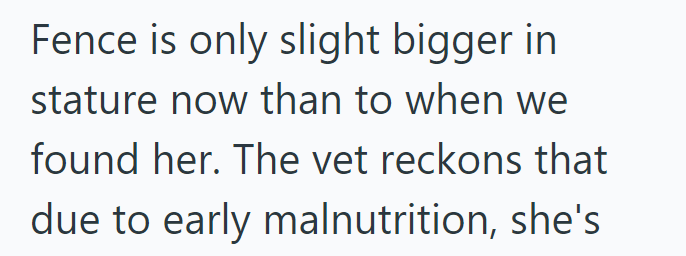 Fence is only slight bigger in stature now than to when we found her. The vet reckons that due to early malnutrition, she's