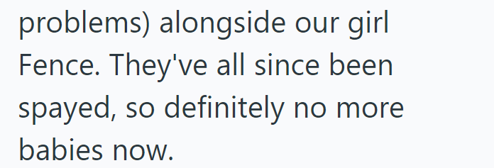 problems) alongside our girl Fence. They've all since been spayed, so definitely no more babies now.