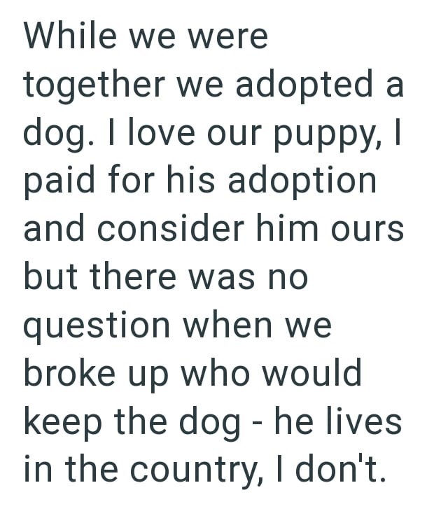 While we were together we adopted a dog. I love our puppy, I paid for his adoption and consider him ours but there was no question when we broke up who would keep the dog - he lives in the country, I don't.