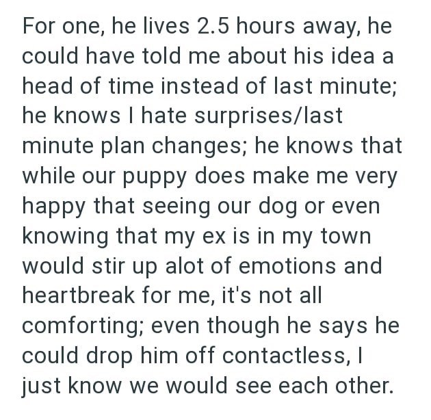 For one, he lives 2.5 hours away, he could have told me about his idea a head of time instead of last minute; he knows I hate surprises/last minute plan changes; he knows that while our puppy does make me very happy that seeing our dog or even knowing that my ex is in my town would stir up alot of emotions and heartbreak for me, it's not all comforting; even though he says he could drop him off contactless, I just know we would see each other.